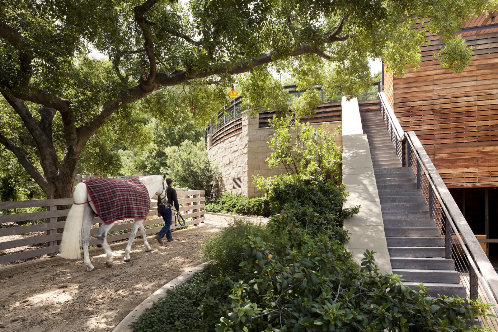 Horse walking along trail, stairs leading to second level