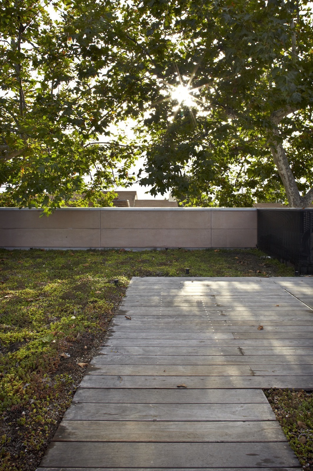 Green roof