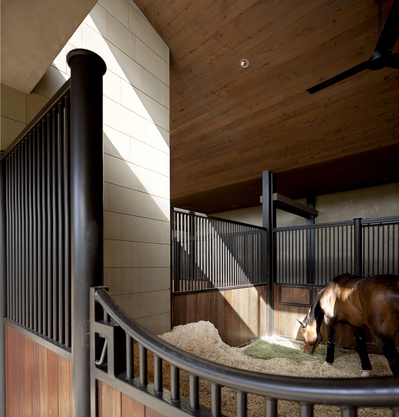 Horse eating hay in stable