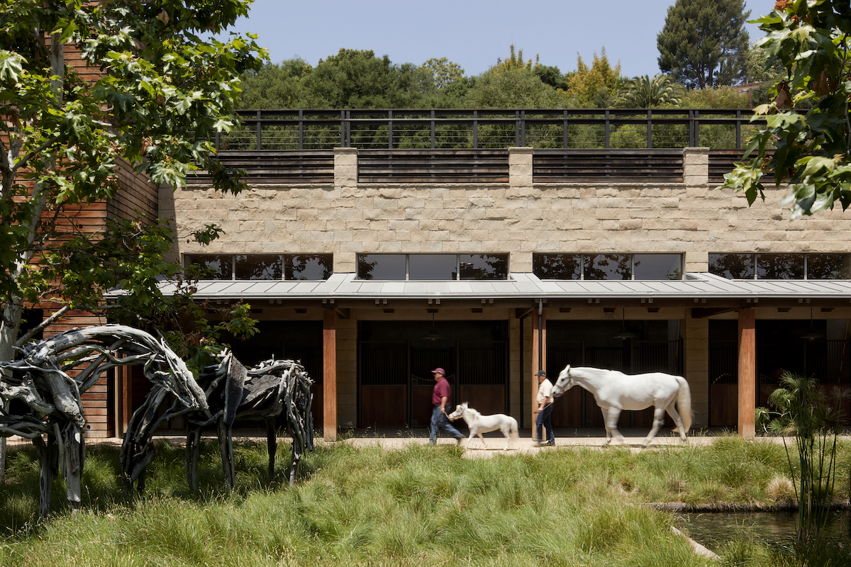 Horses walking in front of stables