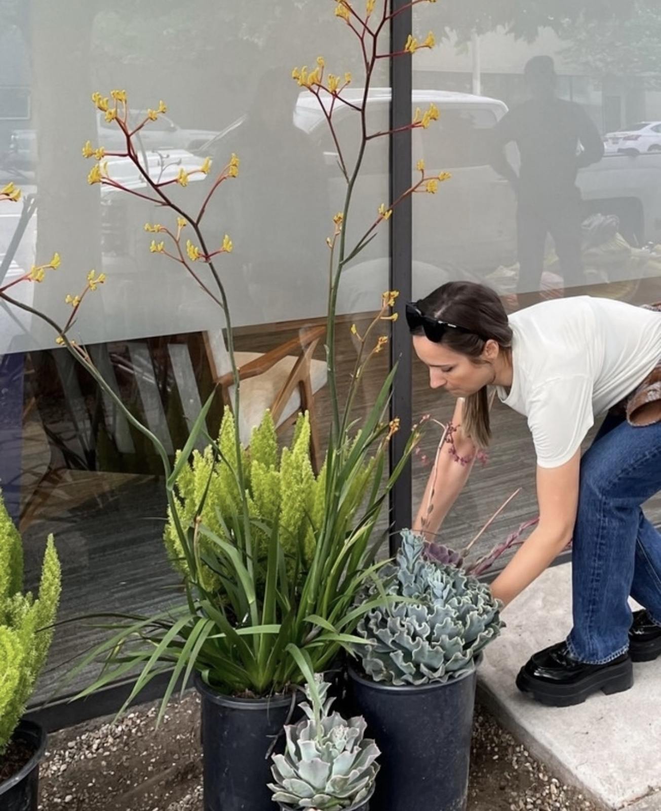Employee Preparing Plants to be Planted Outside of Kovac Design's Studio